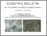 [thumbnail of scientific_bulletin_2009_1.pdf]