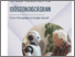 [thumbnail of 5.27_Robocare_Hungarianversion_FIN.pdf]